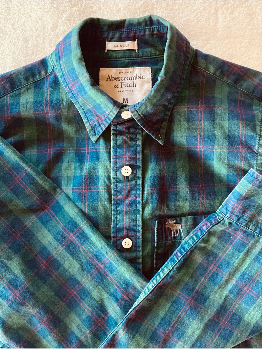 Vintage Y2K Abercrombie& Fitch Mens M Muscle Fit Plaid ButtonUp shirt blue/Green